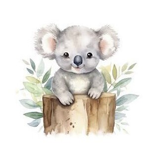 Klassentier Koalas